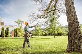 Best Emergency Tree Removal  in Gold Key Lake, PA