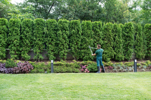 Best Lawn Maintenance Plans  in Gold Key Lake, PA